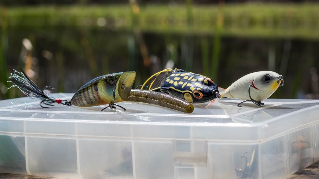 Top Bait Choices for Cloudy, Rainy Conditions