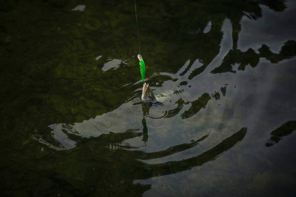 What Makes Chatterbaits Perfect for Murky Water