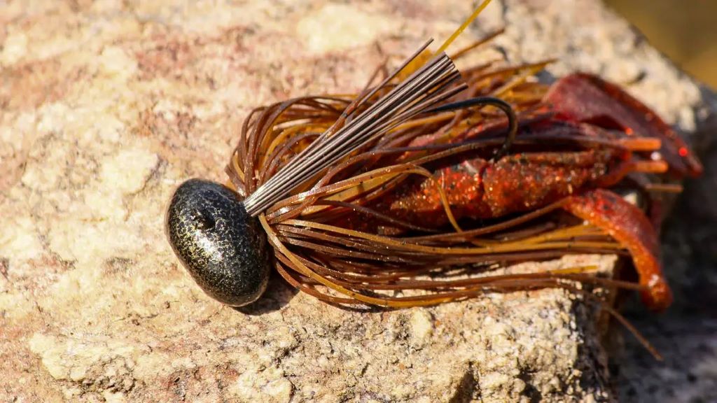 Top-rated fishing jigs trending in Canada 2025, showcasing various designs and styles for anglers