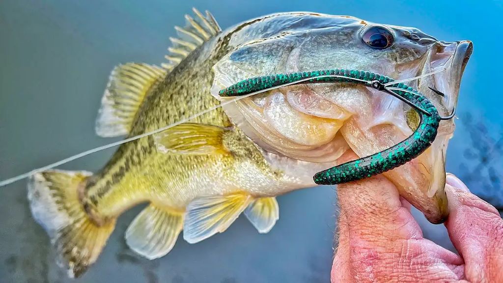 Close-up of a Carolina rig setup with weights and soft plastic bait, ideal for bass fishing in Canadian waters
