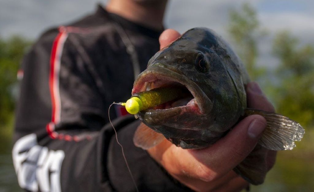 Close-up of a jigging rig setup for Canadian anglers, highlighting effective fishing methods and gear