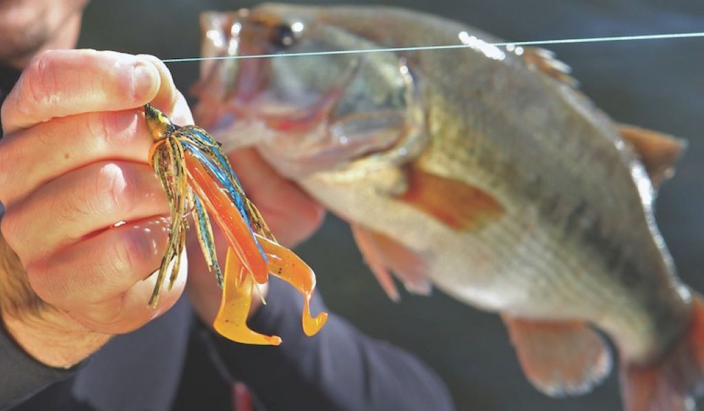 Most Googled fishing jigs in Canada 2025 featuring top lures and bait trends for anglers