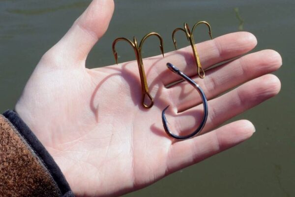 A selection of the top 10 most popular fishing hooks in Canada for 2025, displayed in various shapes and sizes