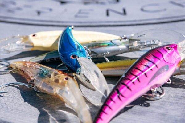 Canadian anglers researching popular fishing jigs online for better catches