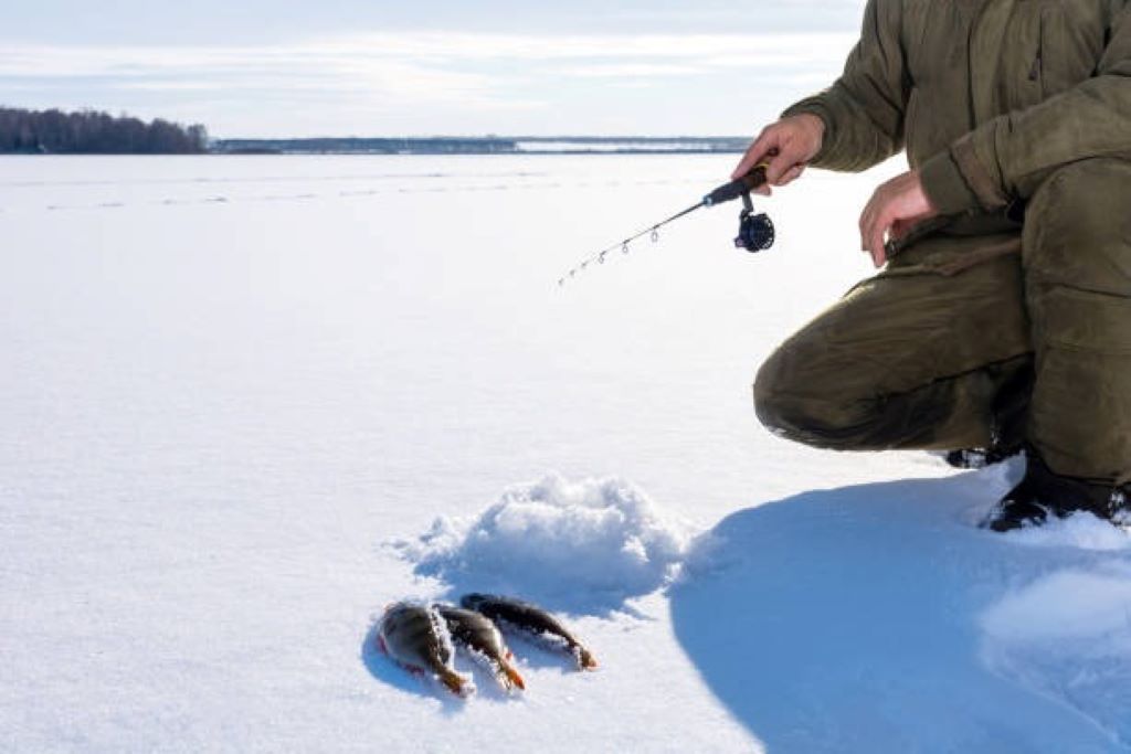 Close-up of colorful ice fishing spoons lying on a frozen Canadian lake, ready for winter fishing