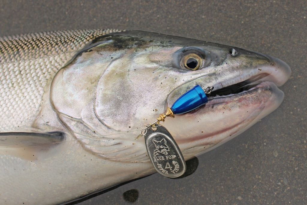 Top Canadian fishing lures 2025: spoons used by anglers for freshwater and saltwater fishing