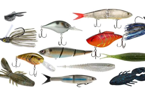 Popular fishing spoons in Canada for 2025, preferred by anglers for catching more fish