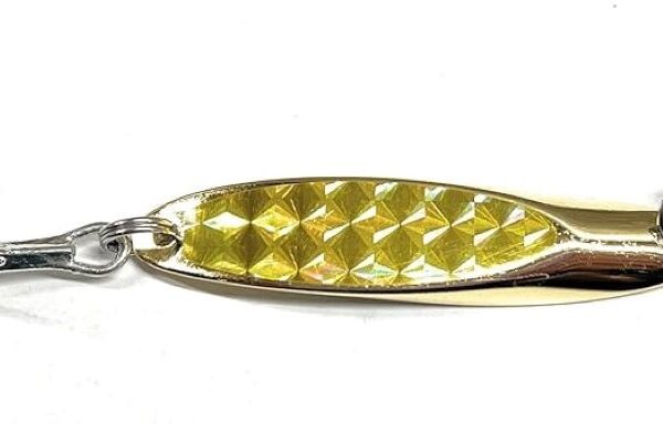 Close-up of Canadian-made brass fishing spoons designed for catching all fish species