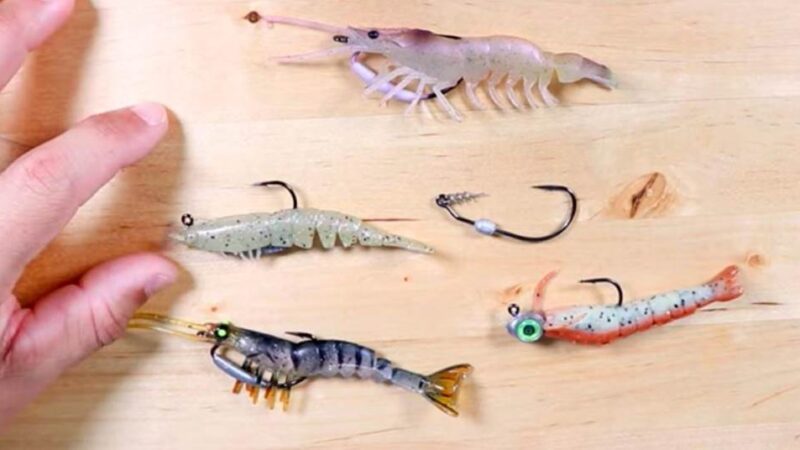 How to Use Artificial Shrimp Lures for Saltwater Fishing to Catch More Fish