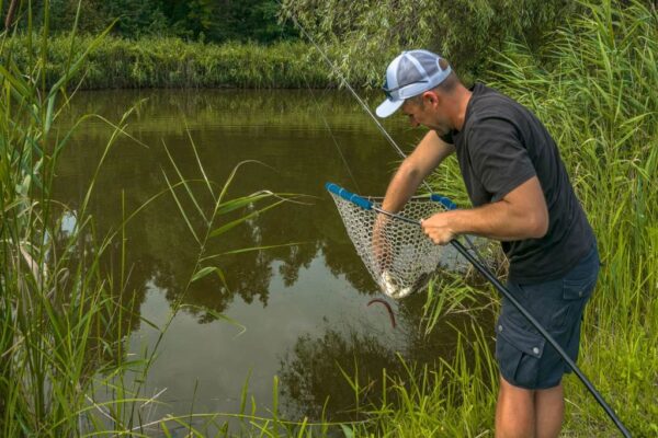 Fishing landing net in action. Fisherman caught fish using special rubber net at lake