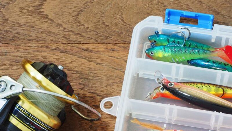 How to Pick the Right Fishing Lure Kits for Different Fish Species and Conditions