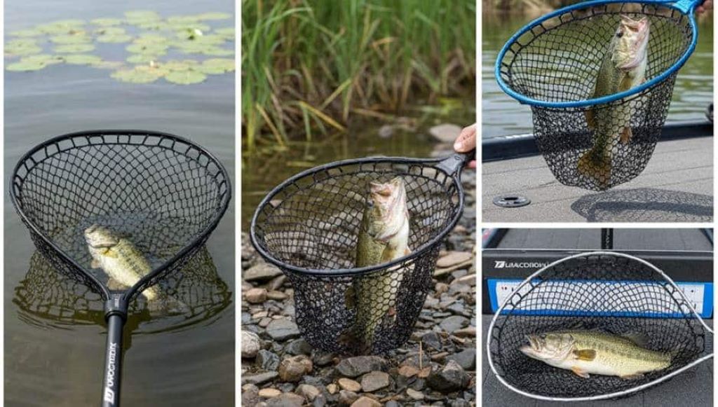 Fish Net Reference How To Choose the Best Fishing Net for Different Fish Types - Crazy ...