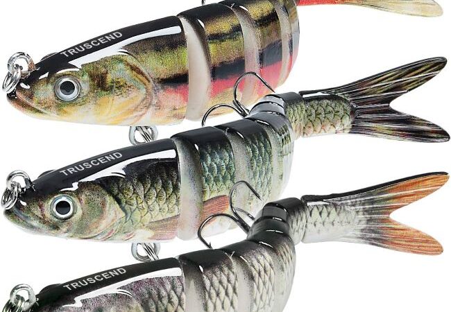 Best TRUSCEND Swimmax Easy Catch Fishing Lures in North Carolina (NC): Are They the Best Swimbaits for Bass, Trout & Walleye?