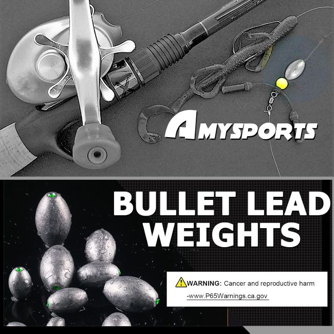 AMYSPORTS egg-shaped lead sinkers for fishing rigs and tackle