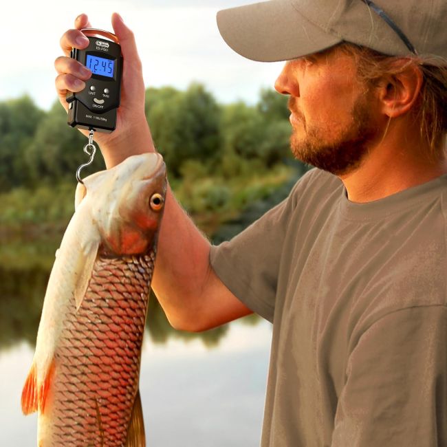 Dr.meter digital fishing scale for large catches and luggage