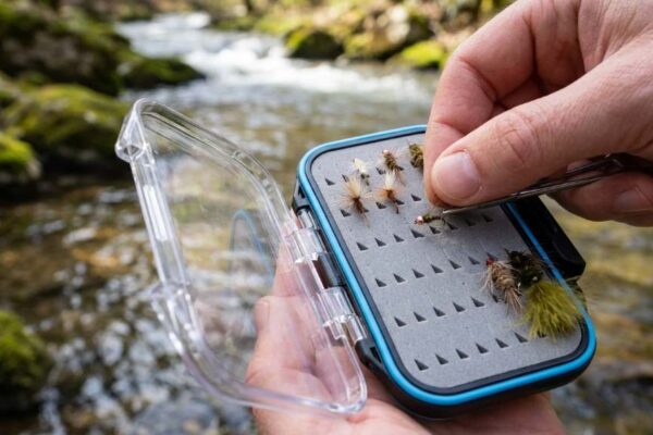 Gonex Double Sided Fly Box organized with fishing flies